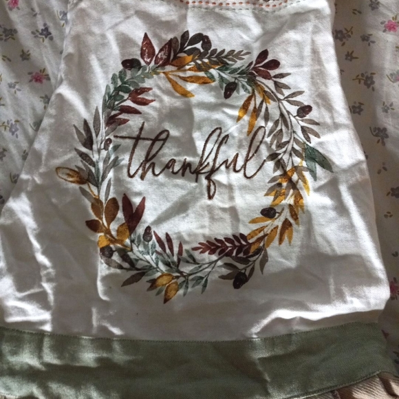 Apron - Picture 3 of 6